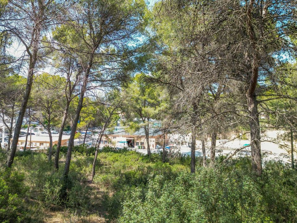 Helårsgrund i Santa Ponsa, Mallorca - foto 3