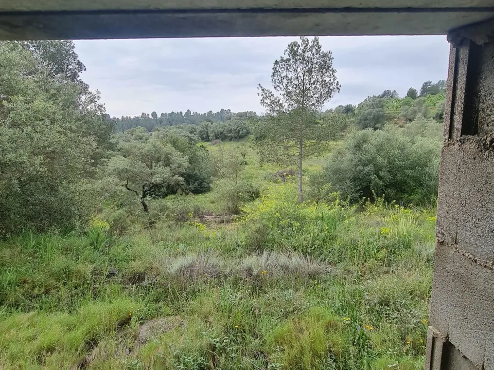 Finca i Mora D'ebre, Tarragona - foto 2