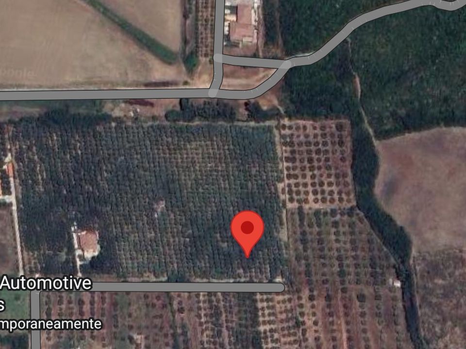Erhvervsejendom i Capaccio Paestum, Salerno - foto 1