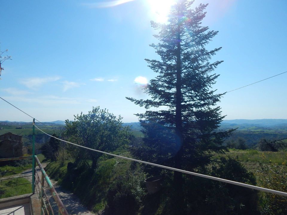 Landejendom i Castignano, Ascoli Piceno - foto 3