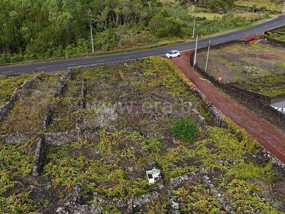 Helårsgrund i Madalena, Pico - foto 4