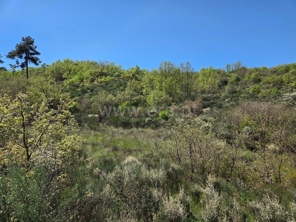 Erhvervsejendom i Celorico da Beira, Guarda - foto 2