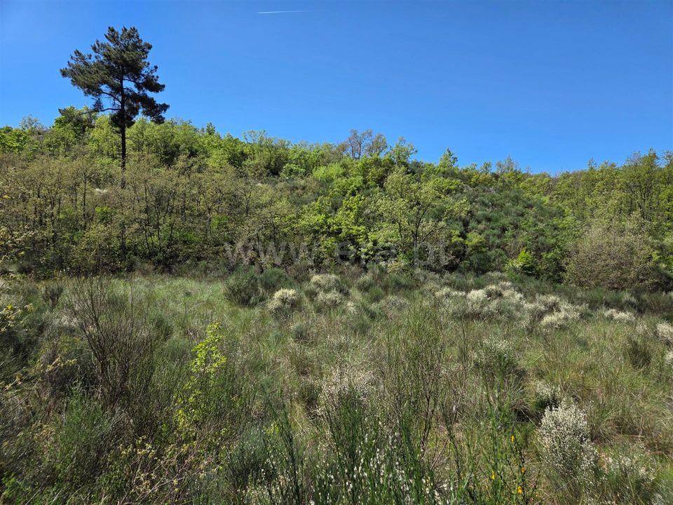 Erhvervsejendom i Celorico da Beira, Guarda - foto 4