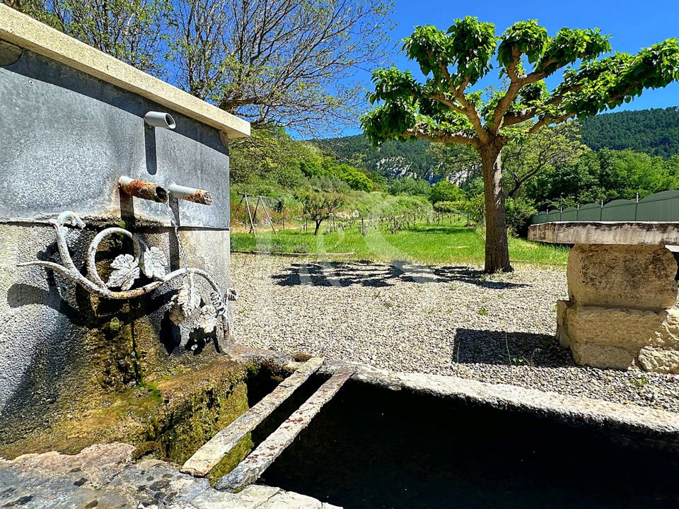 Masia a Malaucene, Vaucluse - foto 4