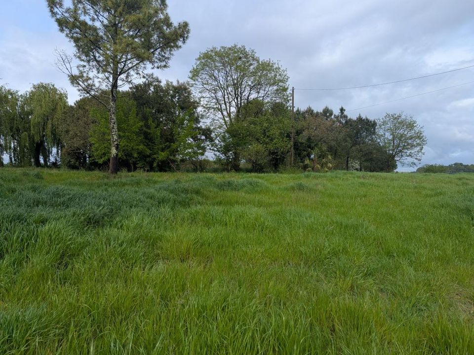 Helårsgrund i St.-Simon-de-Bordes, Charente-Maritime - foto 1