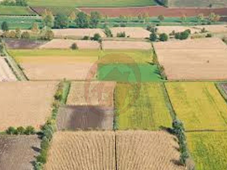 Terreno Vigonza, Padua - foto 1