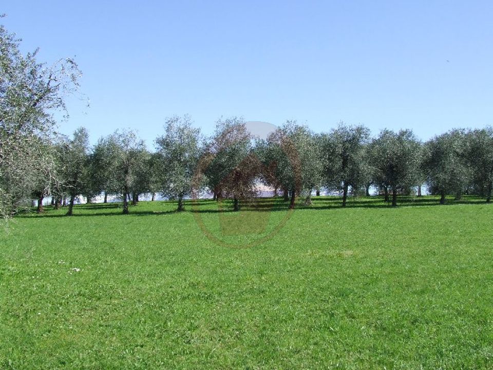 Terreno Vigonza, Padua - foto 2