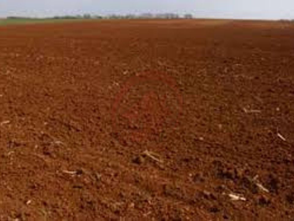Terreno Vigonza, Padua - foto 5