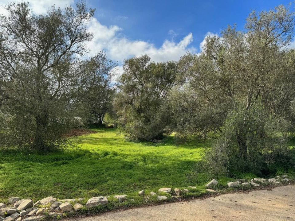 Helårsgrund i Sao Bras de Alportel, Faro - foto 4
