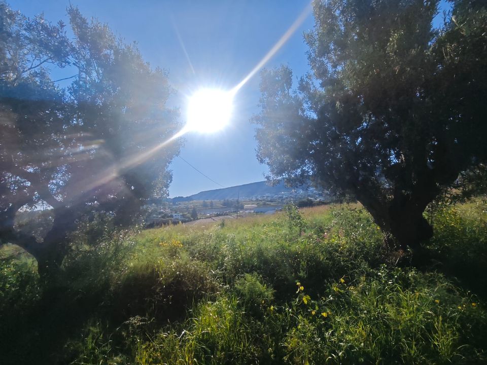 Helårsgrund i Benitachell, Alicante - foto 3