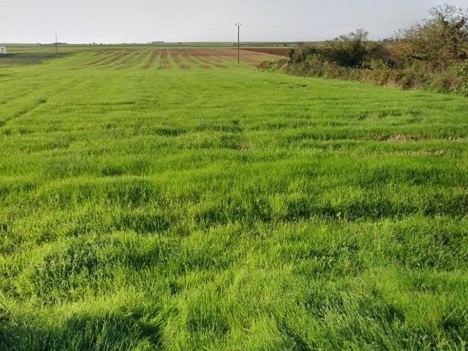 Helårsgrund i Montreuil, Vendee - foto 1