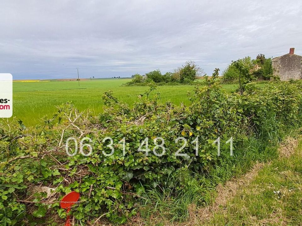 Helårsgrund i Montreuil, Vendee - foto 2