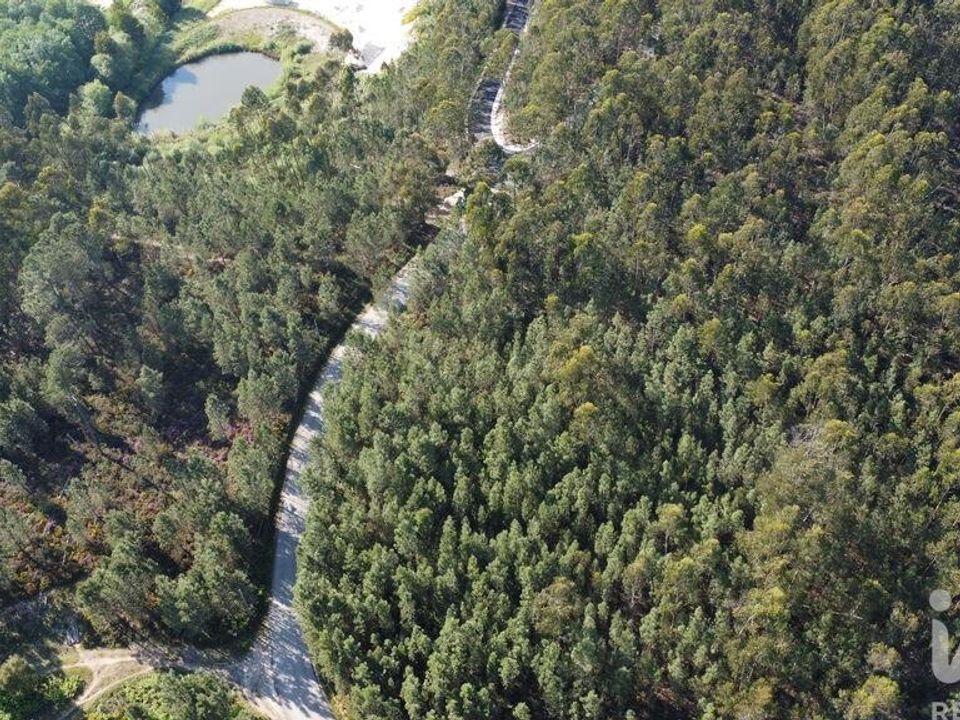 Helårsgrund i Ourem, Santarem - foto 1