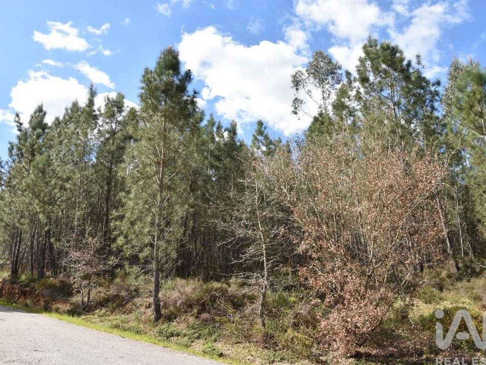 Helårsgrund i Ourem, Santarem - foto 4