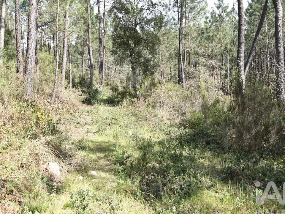 Helårsgrund i Ourem, Santarem - foto 1