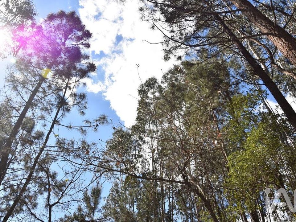 Helårsgrund i Ourem, Santarem - foto 4