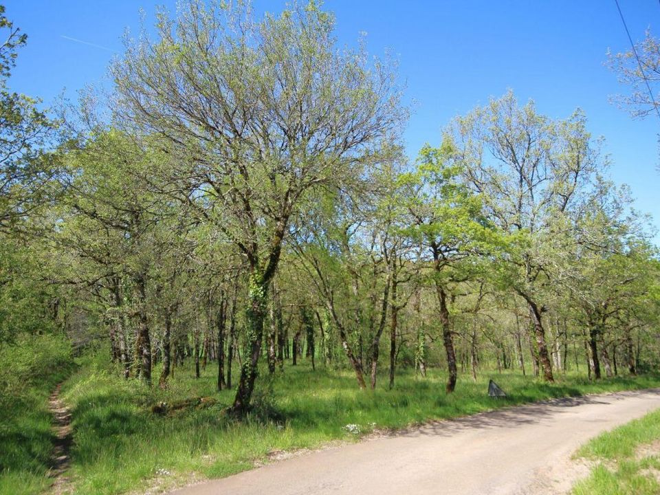 Tomt i Monteils, Aveyron - bilde 1