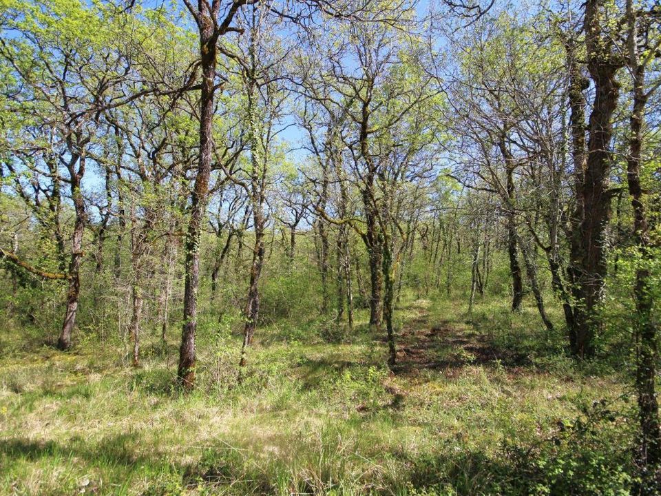 Tomt i Monteils, Aveyron - bilde 2