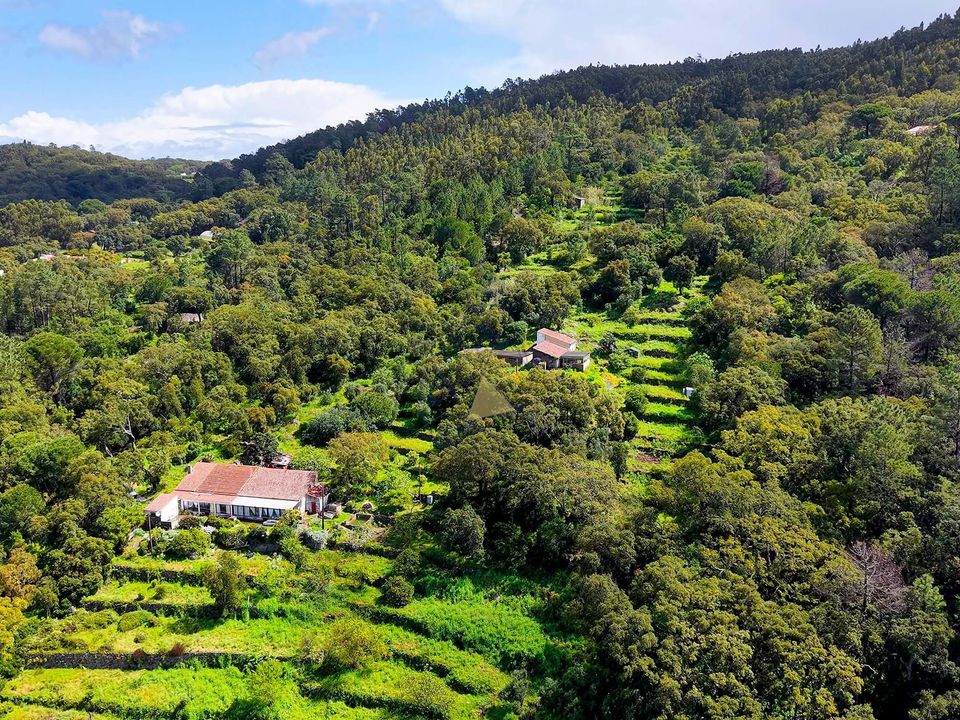 Farm hus i Monchique, Faro - foto 1