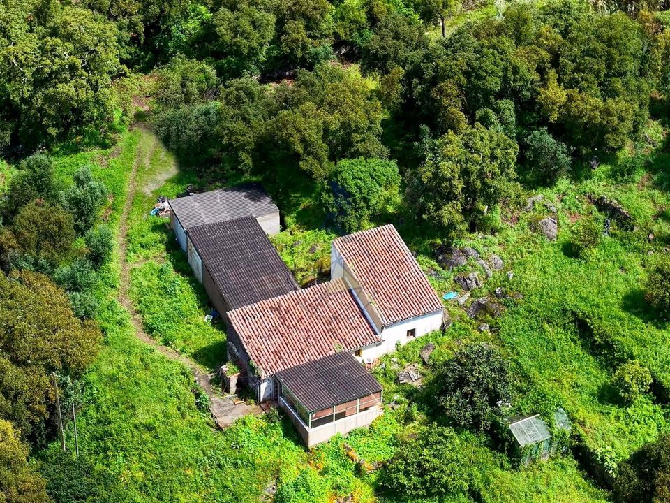 Masia a Monchique, Faro - foto 1
