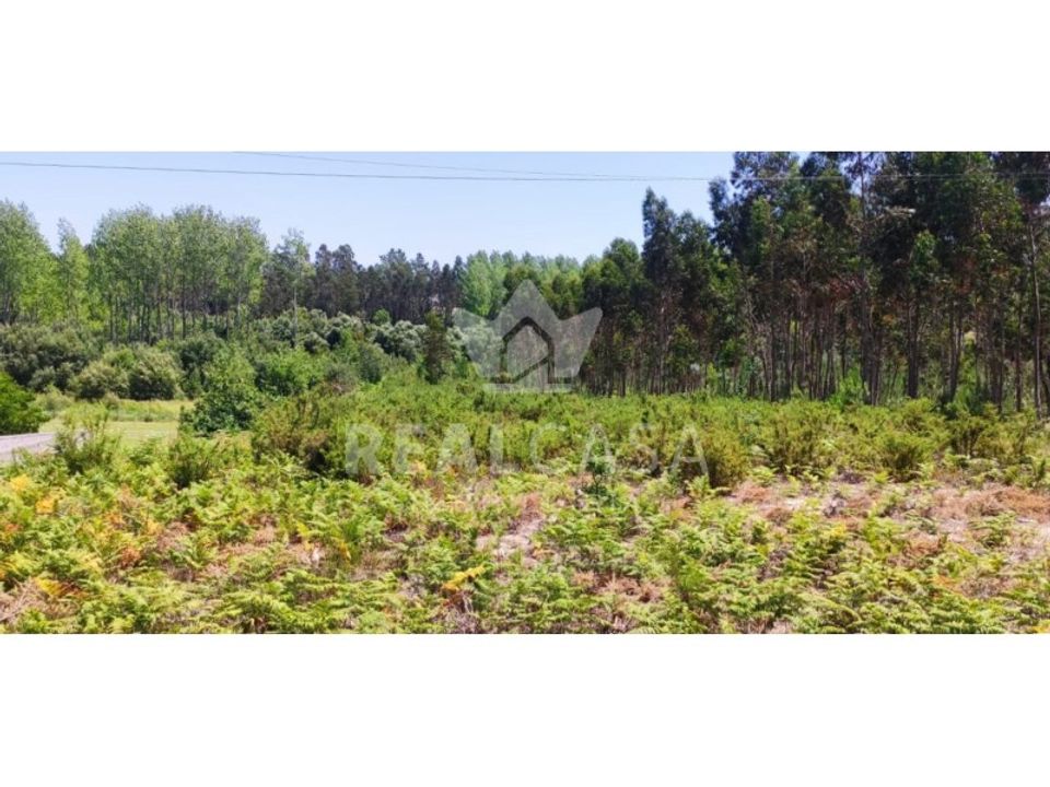 Helårsgrund i Monte Real, Leiria - foto 1