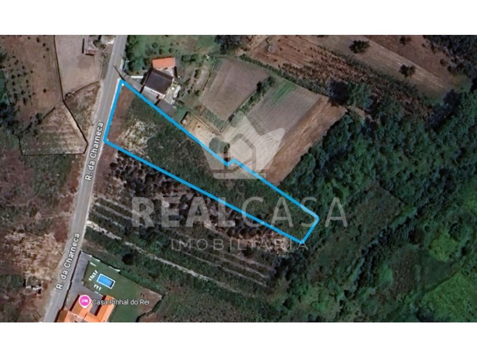 Helårsgrund i Monte Real, Leiria - foto 2