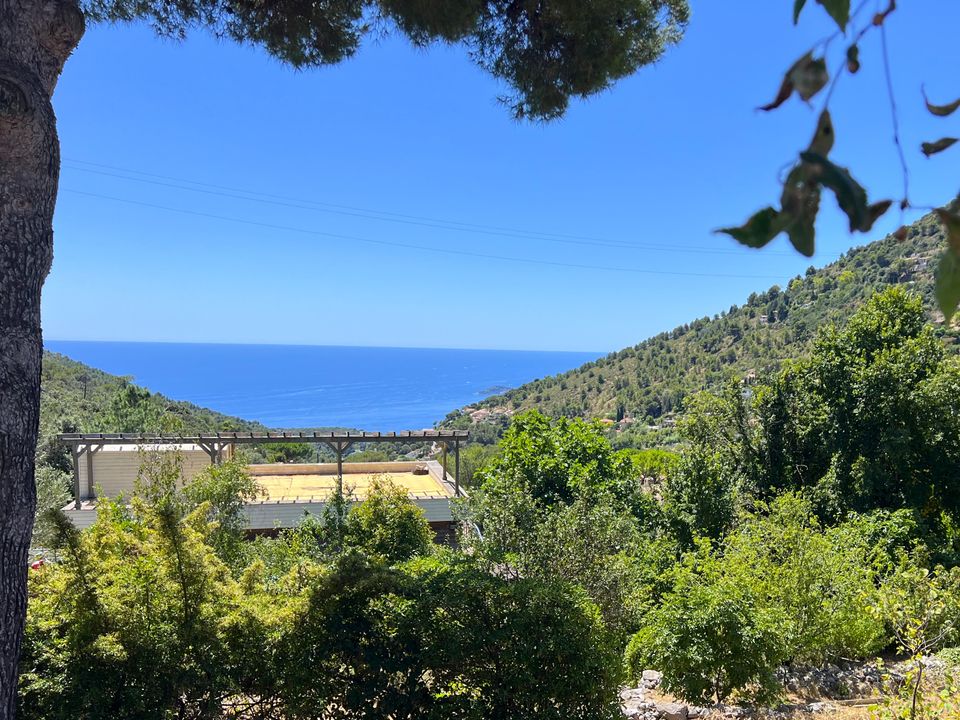 Villa i La Turbie, Alpes-Maritimes - foto 2