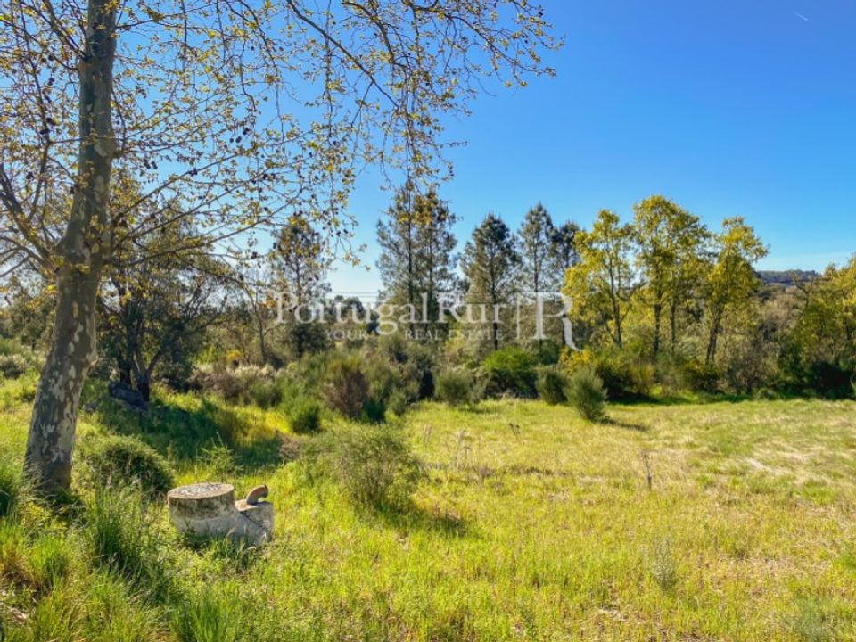 Helårsgrund i Monsanto e Idanha-a-Velha, Castelo Branco - foto 4