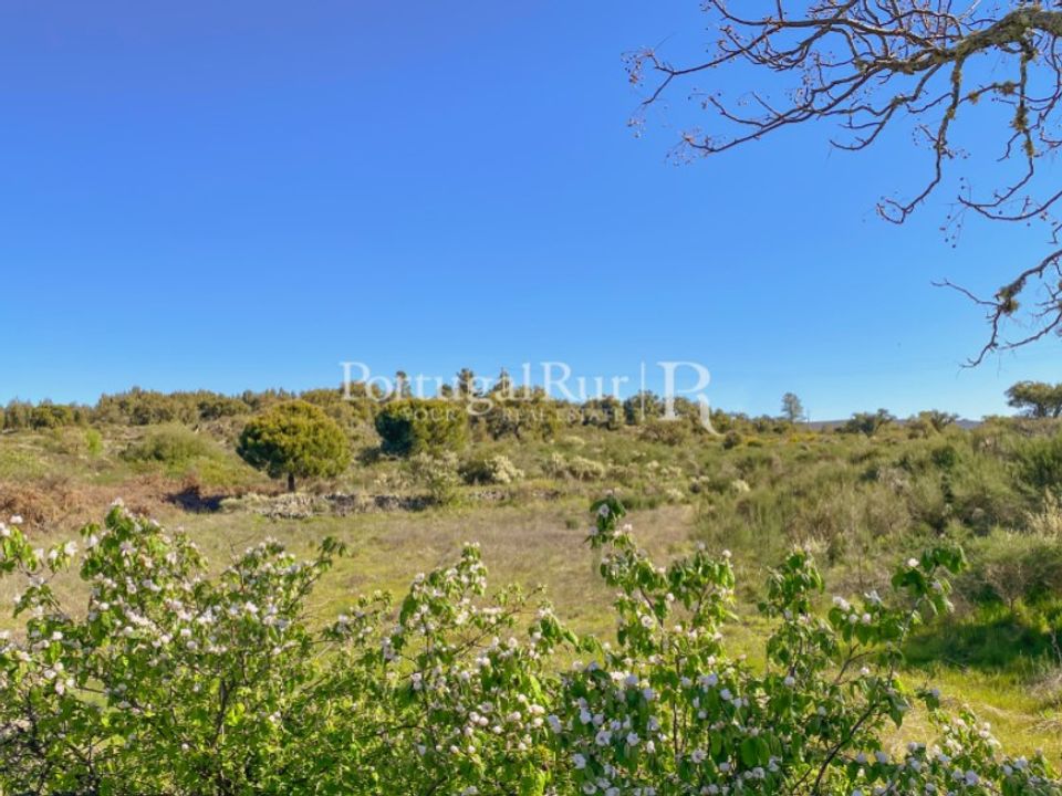 Helårsgrund i Monsanto e Idanha-a-Velha, Castelo Branco - foto 1