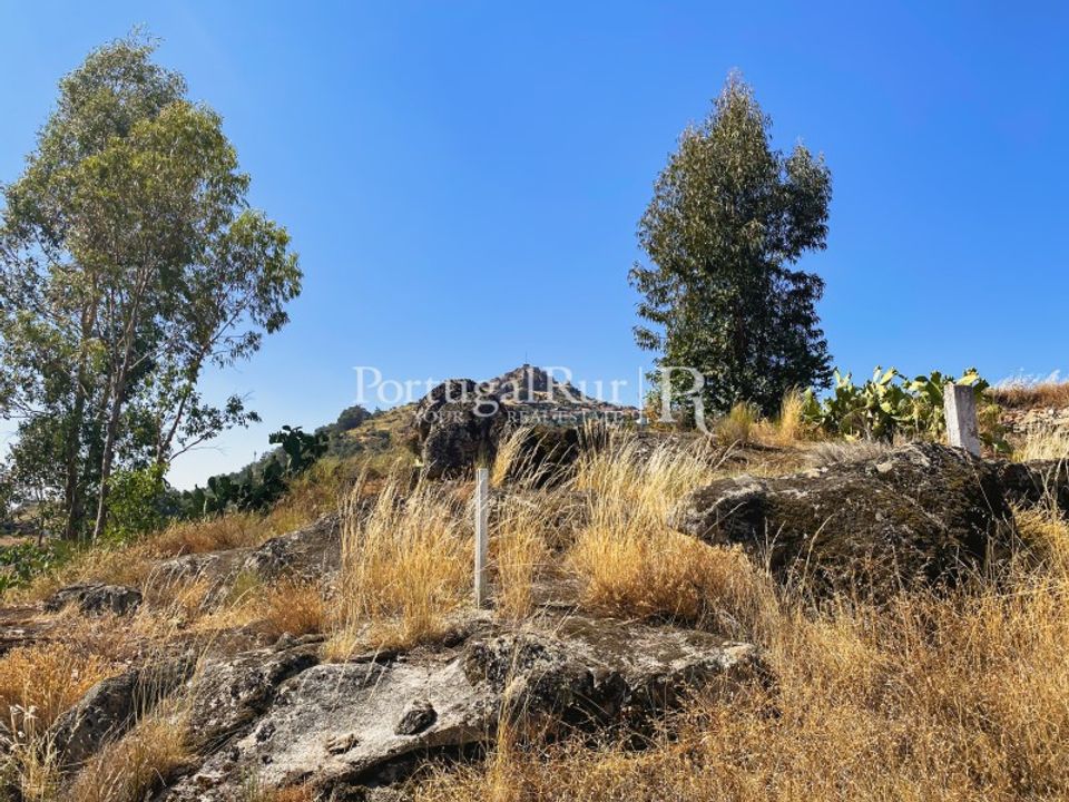 Helårsgrund i Monsanto e Idanha-a-Velha, Castelo Branco - foto 4