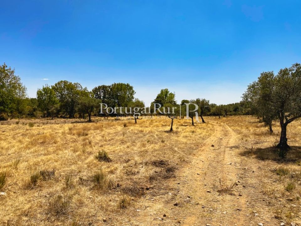 Helårsgrund i Monsanto e Idanha-a-Velha, Castelo Branco - foto 3