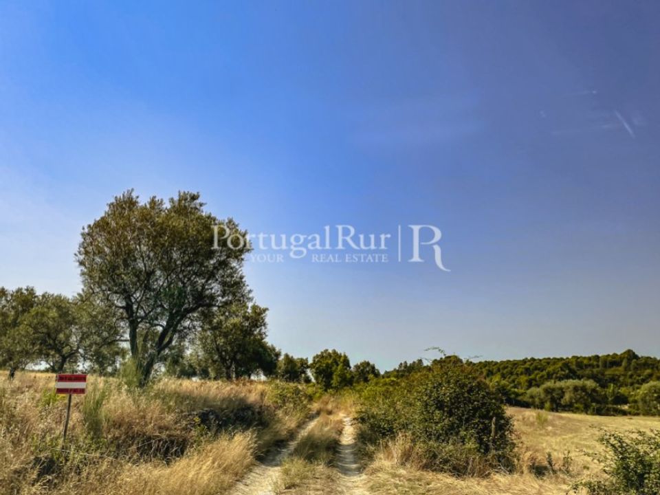 Helårsgrund i Monsanto e Idanha-a-Velha, Castelo Branco - foto 4