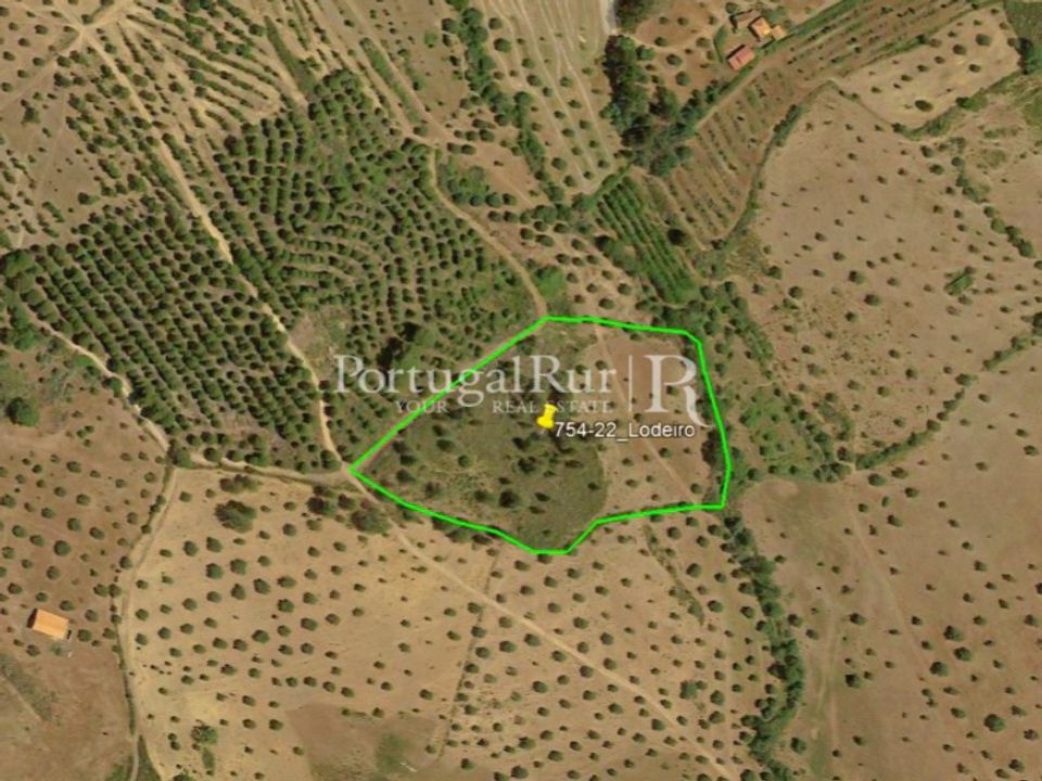 Helårsgrund i Monsanto e Idanha-a-Velha, Castelo Branco - foto 5