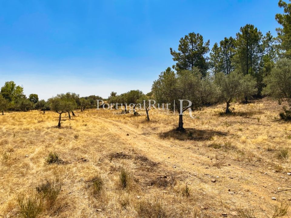 Helårsgrund i Monsanto e Idanha-a-Velha, Castelo Branco - foto 2