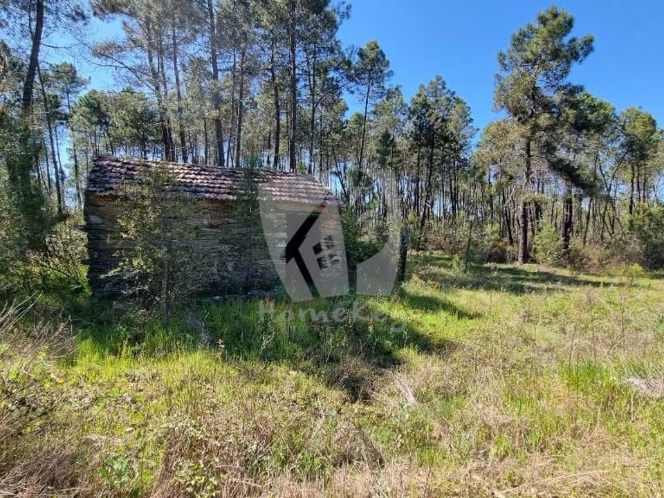 Helårsgrund i Castelo Branco, Castelo Branco - foto 2