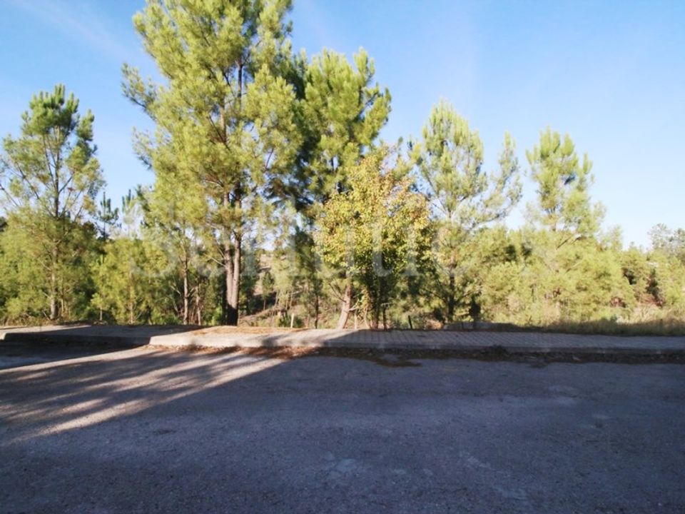 Tomt i Abrantes, Santarem - bilde 4