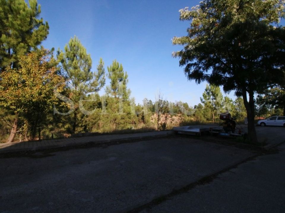 Tomt i Abrantes, Santarem - bilde 5