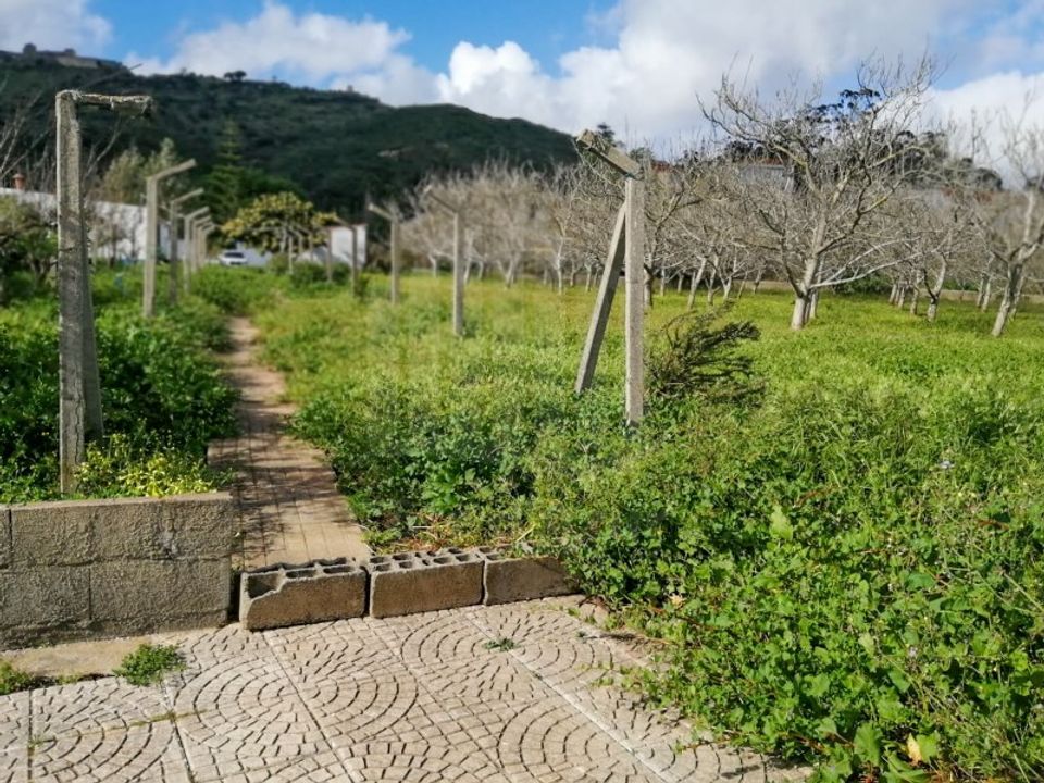 Farm i Palmela, Setubal - foto 5