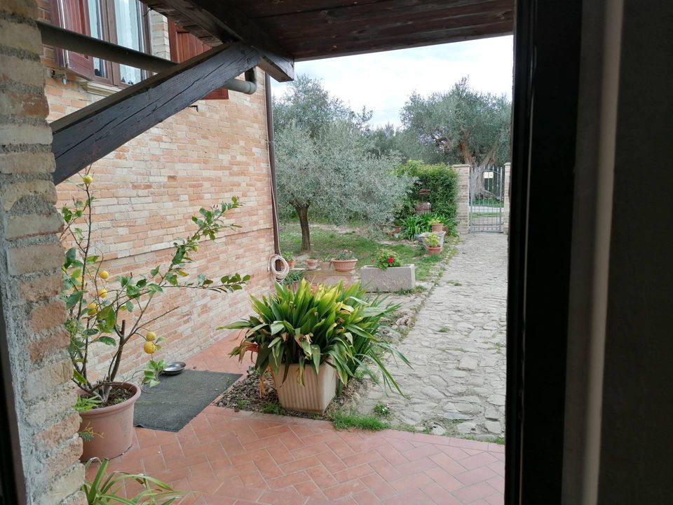 Maison de campagne - Cartoceto, Pesaro and Urbino - photo 4