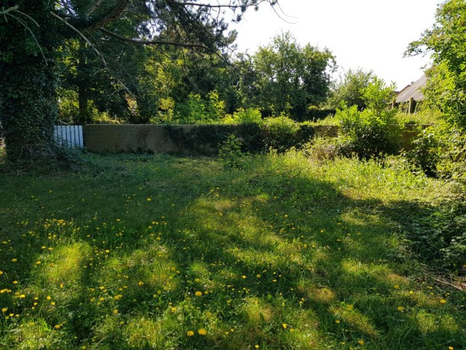 Helårsgrund i Villeneuve-en-Perseigne, Sarthe - foto 2