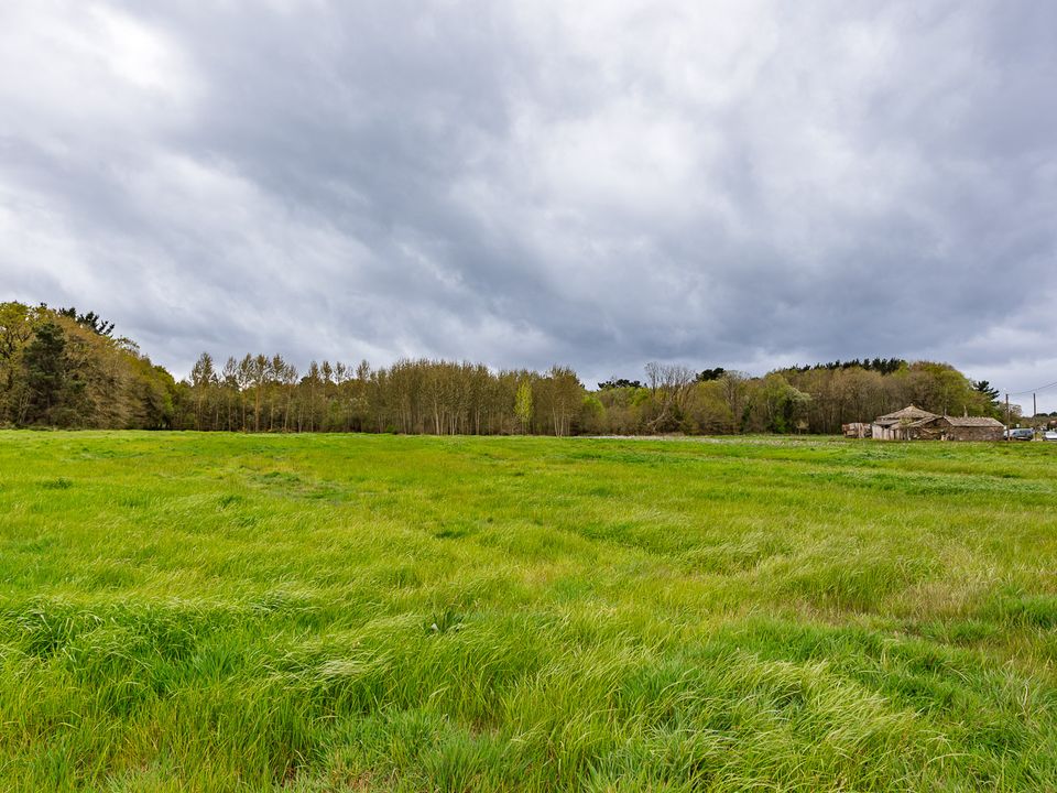 Herregård i Outeiro De Rei, Lugo - bilde 2