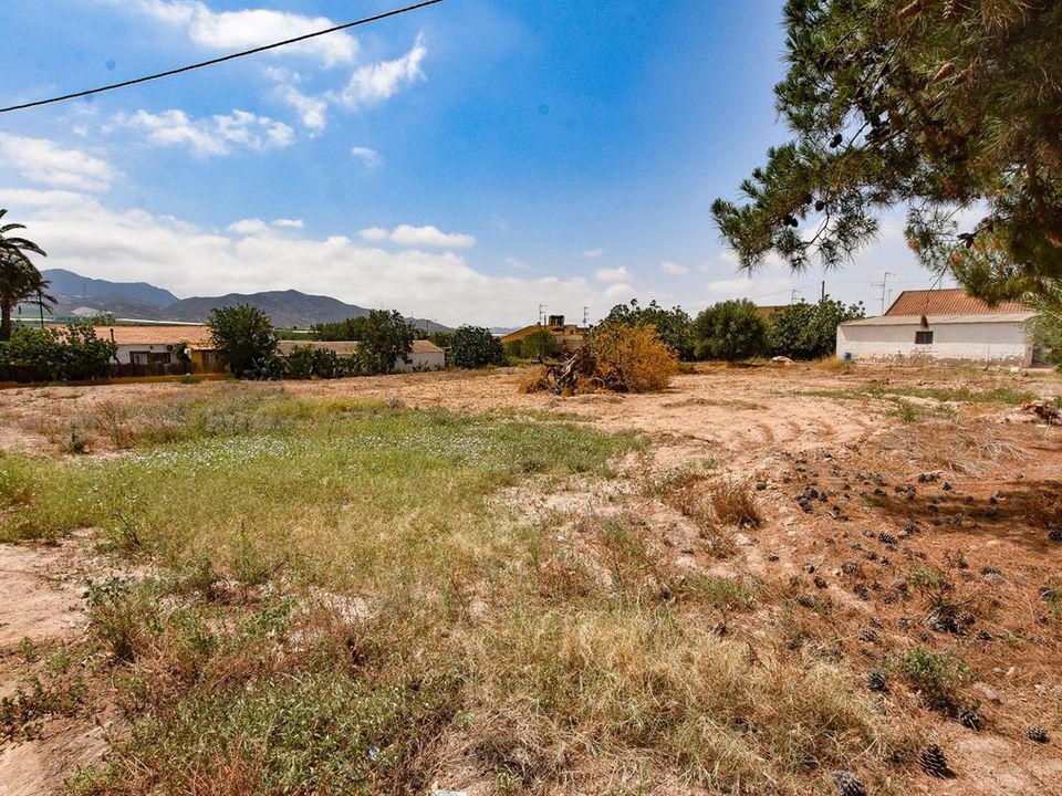 Helårsgrund i La Campana, Murcia - foto 1