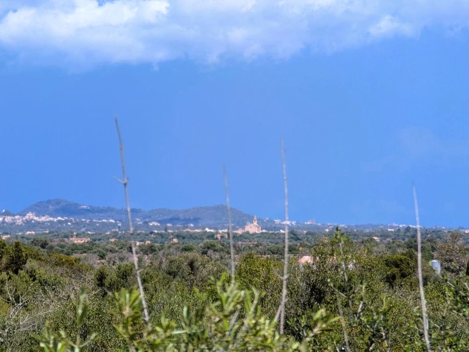 Helårsgrund i Ses Salines, Mallorca - foto 4