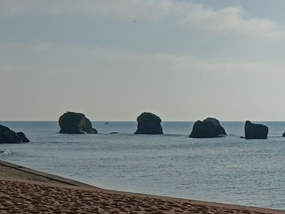 Helårsgrund i Saint-Hilaire-de-Riez, Vendee - foto 1