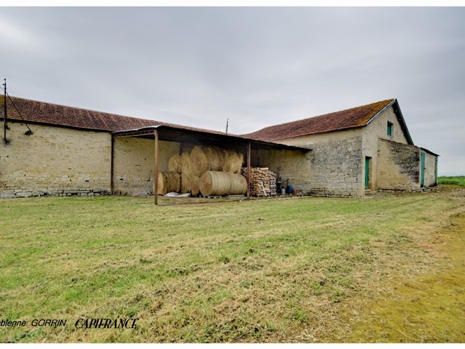 Landejendom i Bouhet, Charente-Maritime - foto 5