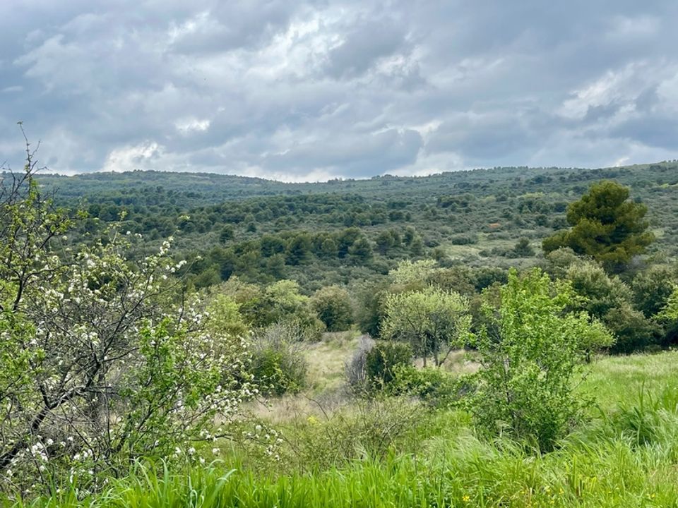 Villa i Lioux, Vaucluse - foto 4