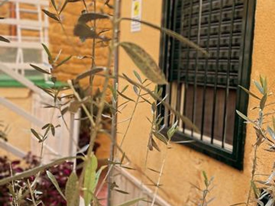Leilighet i Agrigento, Agrigento - bilde 5