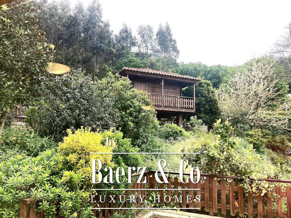 Villa i Oliveira de Frades, Viseu - foto 3