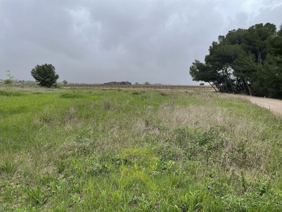 Helårsgrund i Servian, Herault - foto 3