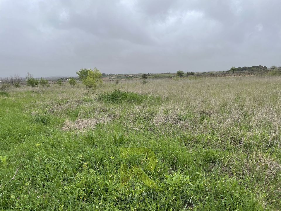 Helårsgrund i Servian, Herault - foto 4